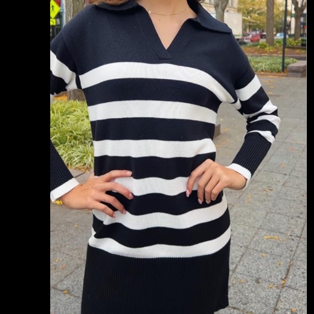 Striped Black & White Collared Long Sleeve Dress